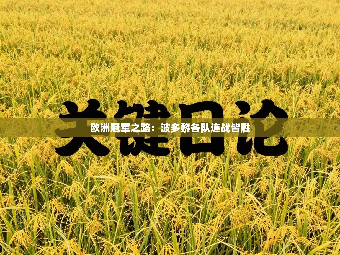 欧洲冠军之路:波多黎各队连战皆胜 第1张